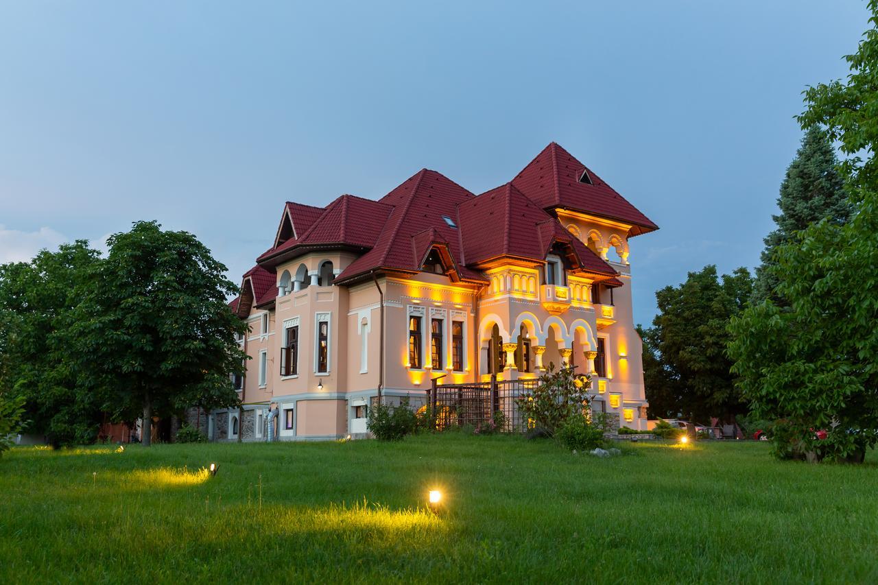 Casa Danielescu Hotel Zsilvásárhely Kültér fotó